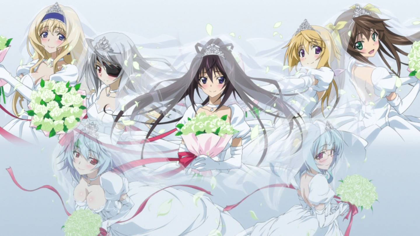 Infinite Stratos 2 Infinite Wedding - /a/ - anime & Manga -