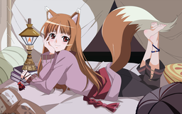 Spice and Wolf - Horo i00024